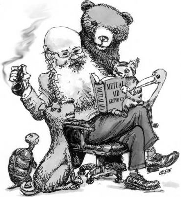 Владимир
