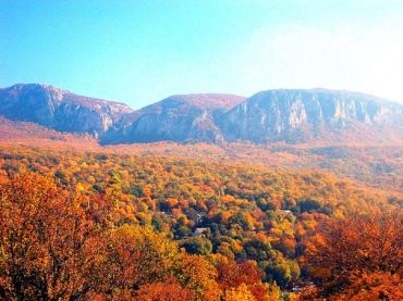 Мария Тарасова